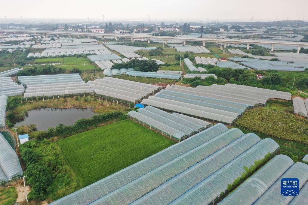 云鼎国际4118.com